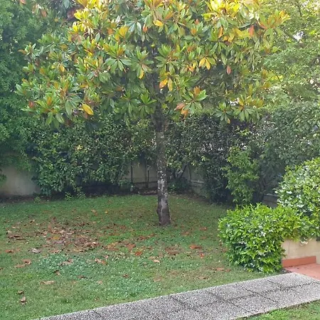 N240 - Numana, Deliziosa Taverna Quadrilocale Con Giardino